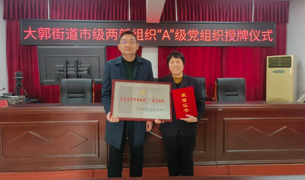 喜報！石家莊天使護士學校榮獲石家莊市兩新組織“A”級黨組織