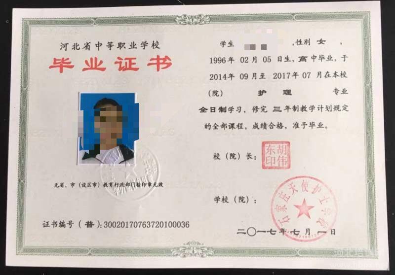 學信網怎么查中專學歷