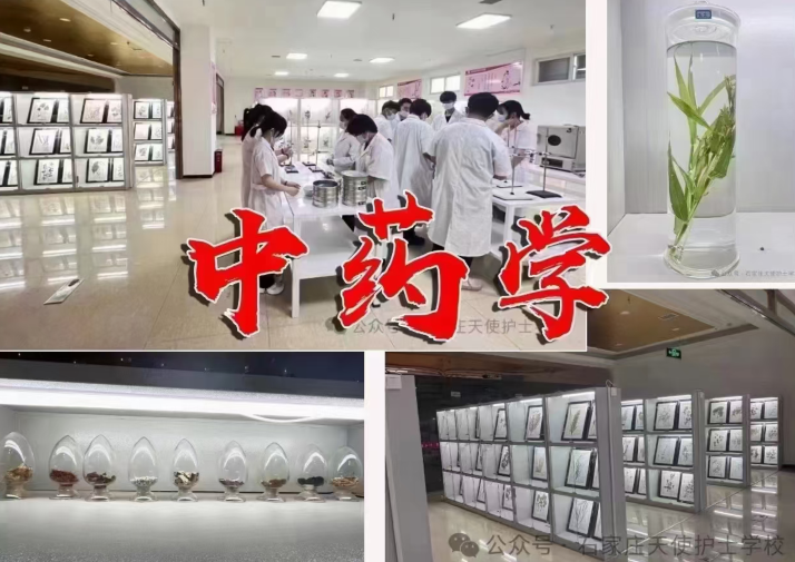 中藥學專業(yè)介紹