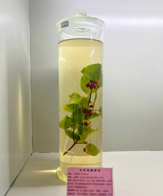 QQ截圖20241011102203.png QQ截圖20241011102203.png