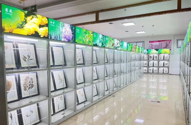 QQ截圖20241011102255.png QQ截圖20241011102255.png