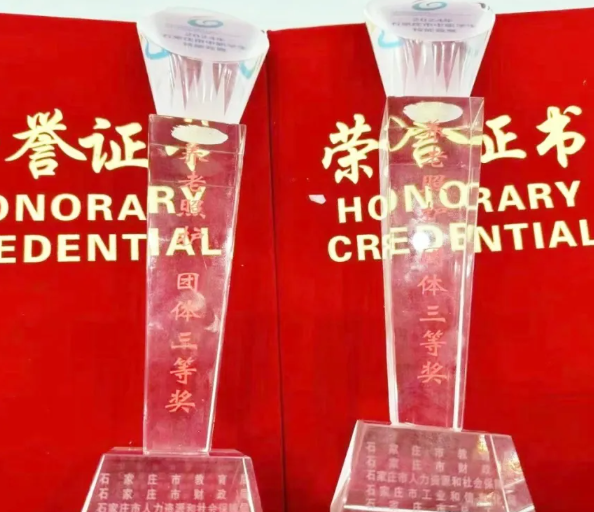 【歲月忽晚 護理為先】祝賀我校學生在石家莊市養(yǎng)老照護賽項獲獎