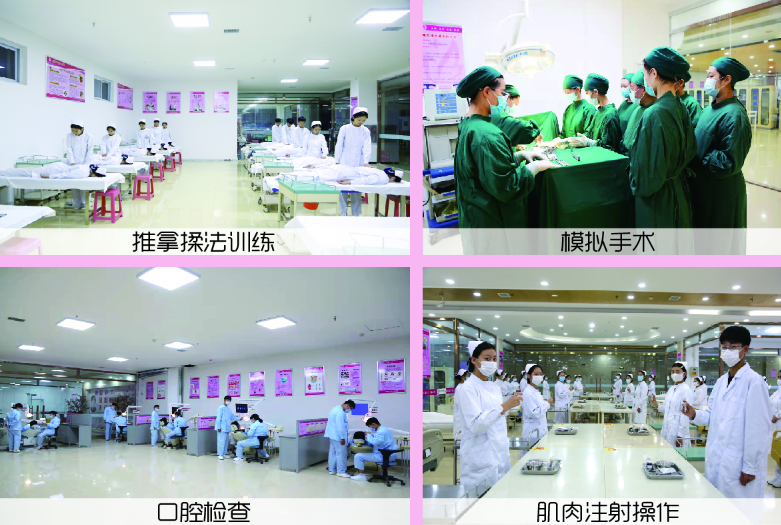 石家莊天使護士學校2026年報名條件、招生要求