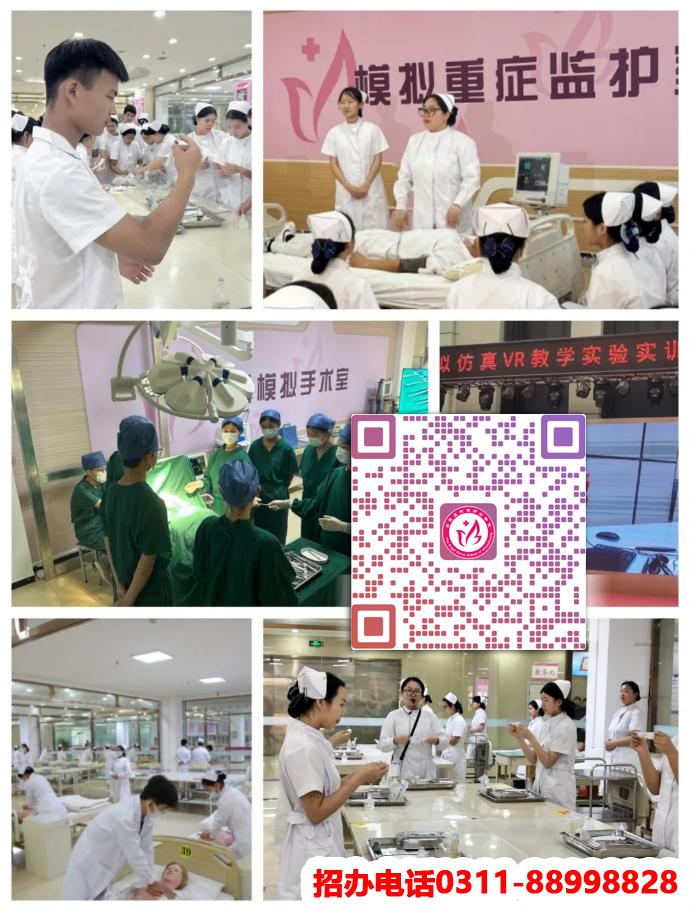 石家莊天使護(hù)士學(xué)校2026年招生專(zhuān)業(yè)介紹