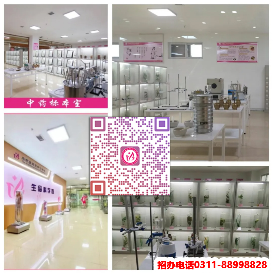 QQ20250512-084224副本.jpg QQ20250512-084224副本.jpg