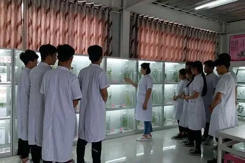 u=4134348696,3525091620&fm=26&fmt=auto.webp.jpg u=4134348696,3525091620&fm=26&fmt=auto.webp.jpg