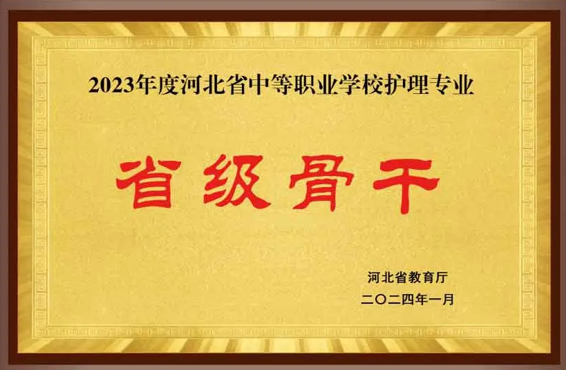 專(zhuān)業(yè)之光 溫暖生命——護(hù)理（石家莊天使護(hù)士學(xué)校省級(jí)骨干專(zhuān)業(yè)）