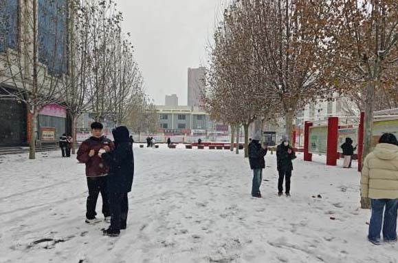 QQ20251212-164148副本.jpg QQ20251212-164148副本.jpg