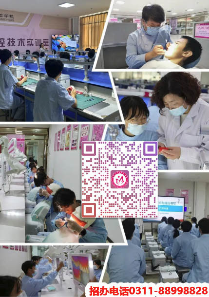 石家莊天使護士學校2026年招生專業都有哪些