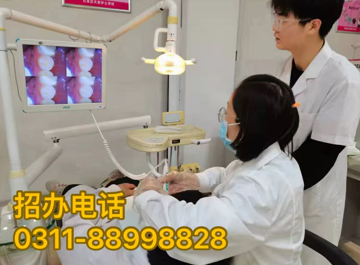 2026年河北省對口高考口腔醫學專業分數線