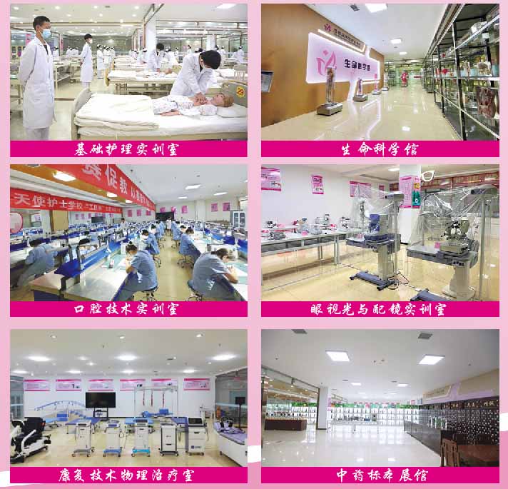 石家莊天使護士學校2026年錄取分數線及報考指南